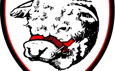 Hereford FC Affiliate League